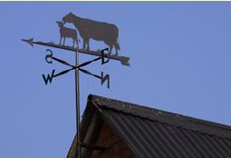 Weathervane5177